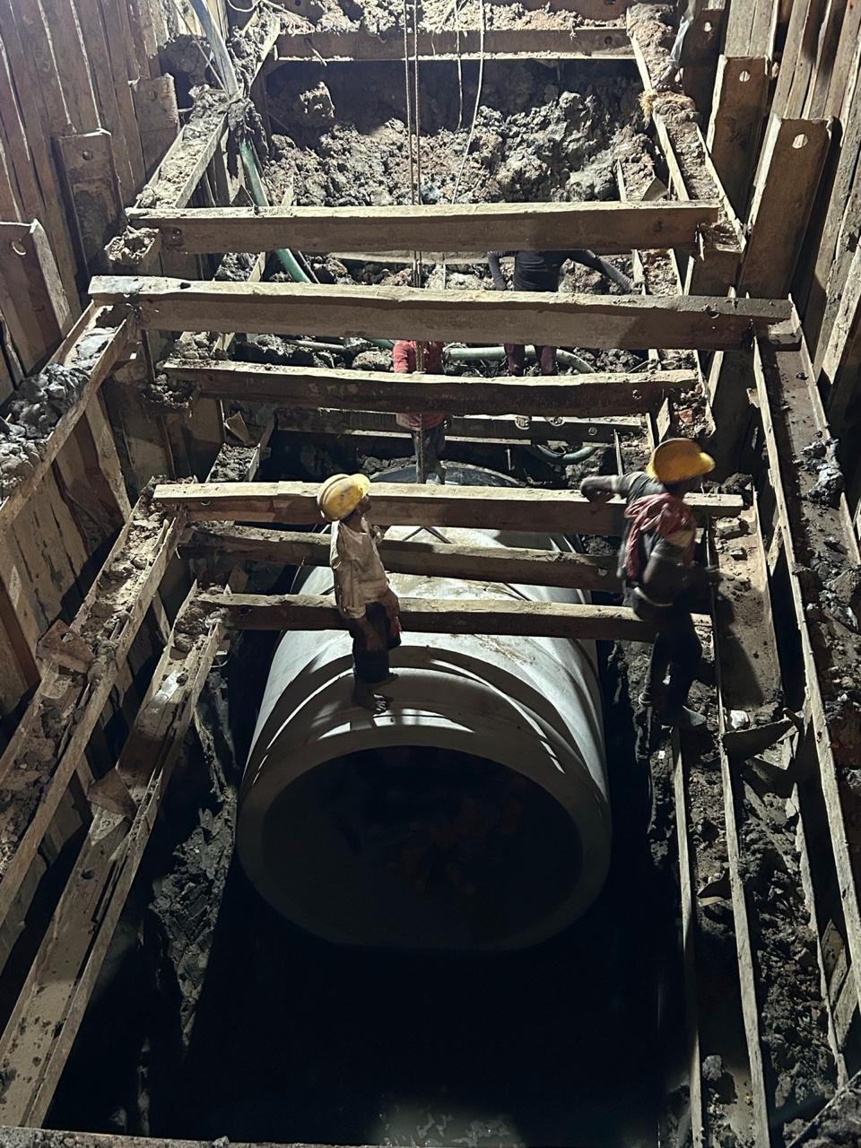 Babbler - A Jungle Resort